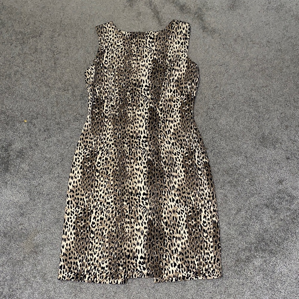 NWT Dressbarn cheetah dress sz: 6
